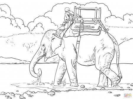 Elephants coloring pages | Free Coloring Pages
