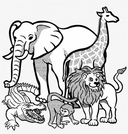 African Buffalo Clipart Clip Art - Amazing Animals Coloring Book: Lions,  Elephants, Giraffes, - 2382x2400 PNG Download - PNGkit