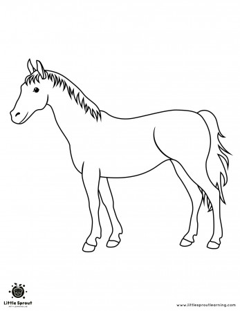 Horse Coloring Pages - 10 Stunning Horse Drawings - Little Sprout Art +  Learning Lab