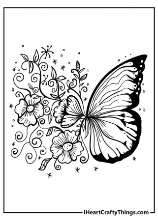Beautiful Butterfly Coloring Pages Updated 2023
