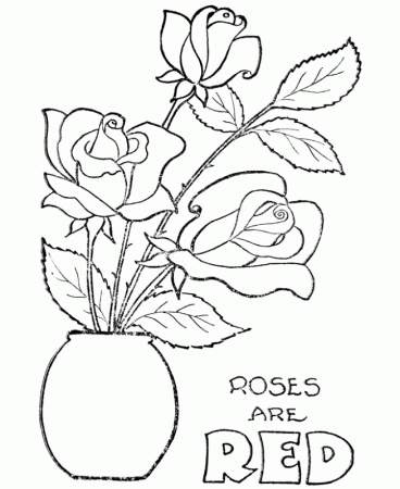 Jasmine Flower Coloring Pages - Best Coloring Pages
