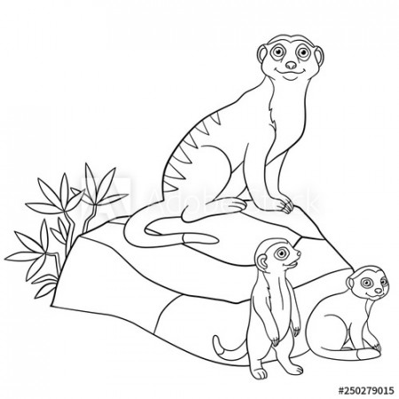 Coloring pages. Mother meerkat with her cute babies. - Buy ...