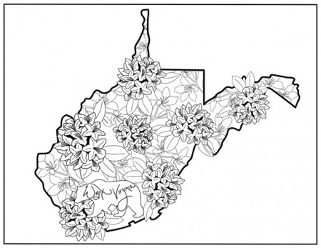 State Coloring Page West Virginia Flowers State Flower - Etsy