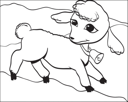 Printable Lamb Coloring Page for Kids – SupplyMe
