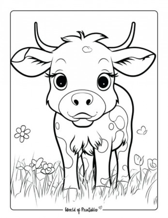 Cow Coloring Pages For Kids & Adults ...