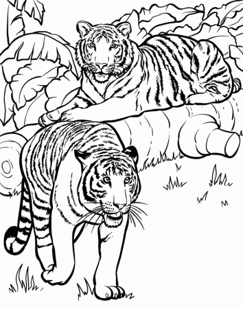 coloring-pages-for-adults-animals-2.jpg