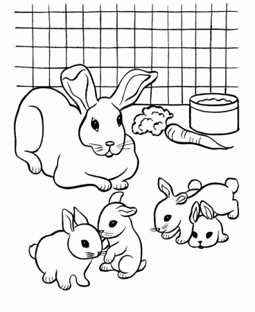 Cute Baby Bunny - Coloring Pages for Kids and for Adults