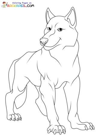 Wolf Coloring Pages