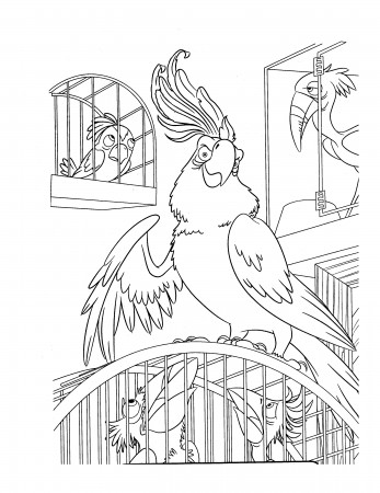 Image of Rio to download and color - Rio Kids Coloring Pages
