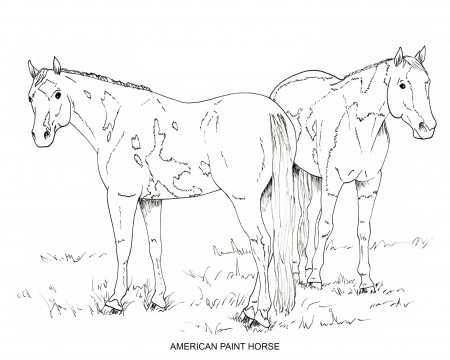 PRINTABLE Set of 10 Horse Breed Coloring Pages 2 Digital - Etsy
