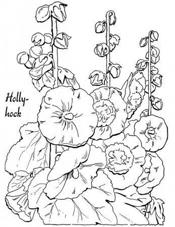 15 Flower Coloring Pages for Adults- All Unique! - The Graphics Fairy