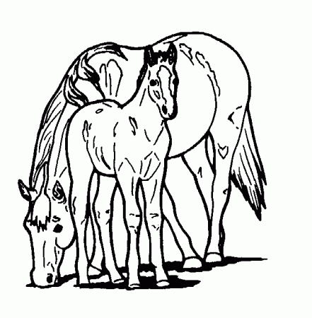 Printable Coloring Pages Of Horses | Free Coloring Pages