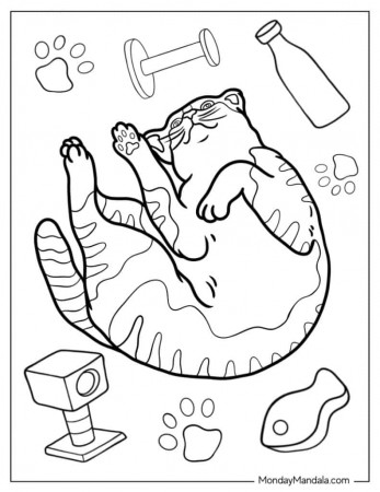 56 Cat Coloring Pages (Free PDF Printables)