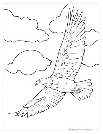 30 Bald Eagle Coloring Pages (Free PDF Printables)