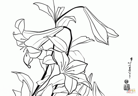 Lilies by Katsushika Hokusai coloring page | Free Printable Coloring Pages