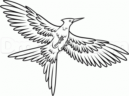 mockingjay hunger games drawing - Clip Art Library