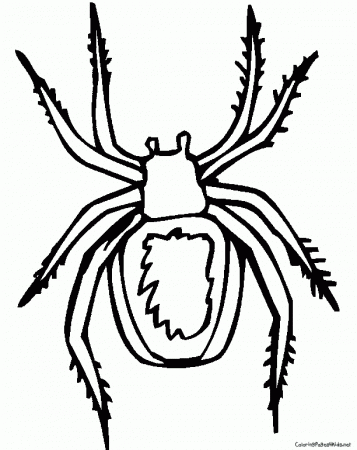 Spider Coloring Page