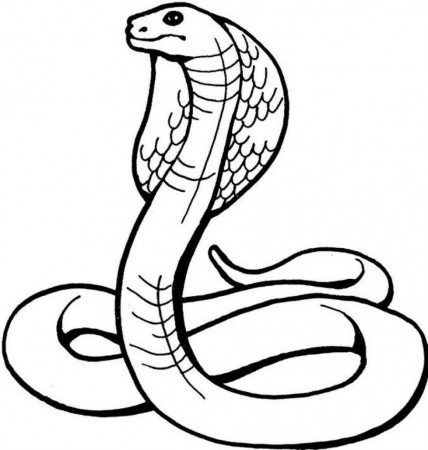 Printable Snake Coloring Pages | Coloring Me