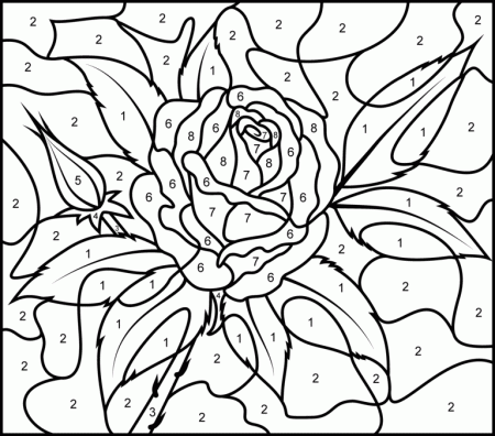 Rose - Printable Color by Number Page - Hard | Rose coloring pages, Coloring  pages, Free coloring pages