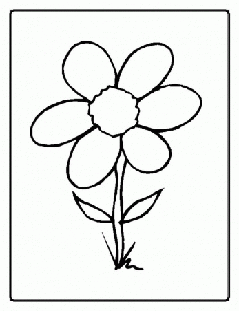 parts of a plant coloring page - High Quality Coloring Pages