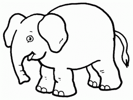 Animals Coloring Pages For Kindergarten - Coloring Page