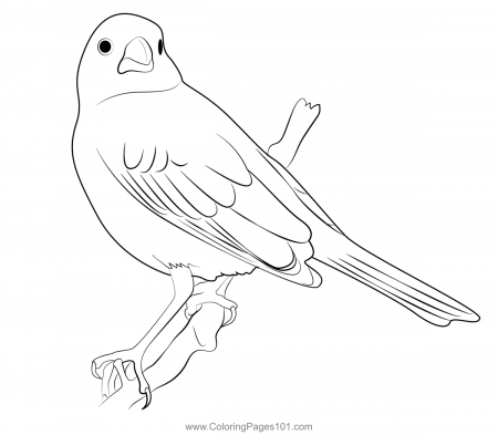 Common Lark Bunting Bird Coloring Page for Kids - Free Buntings Printable Coloring  Pages Online for Kids - ColoringPages101.com | Coloring Pages for Kids