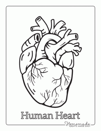 70 Best Heart Coloring Pages | Free Printables for Kids & Adults