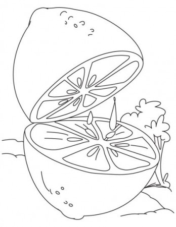 Pin on Lime Coloring Pages
