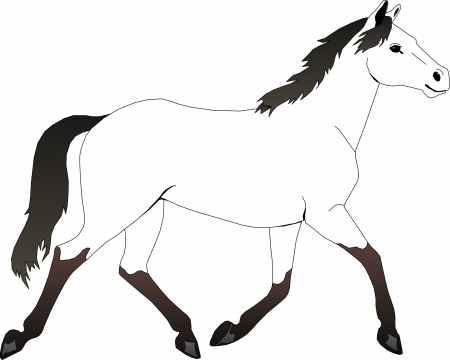 paint horse. 1000 ideas about horse coloring pages on pinterest ...