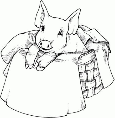 Drawing Farm Animals #21589 (Animals) – Printable coloring pages