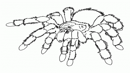 Related Spiderman Coloring Pages item-13078, Spiderman Coloring ...