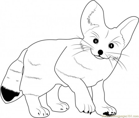 Get This Cute Fox Coloring Pages wa522 !