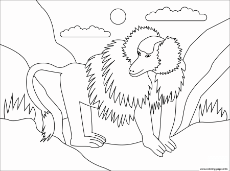 Baboon Animal Simple Coloring Pages Printable