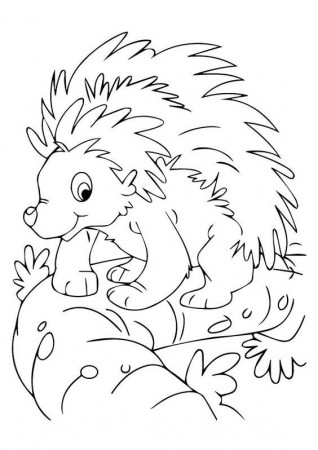 print coloring image | Coloring, Coloring Pages and Toddlers