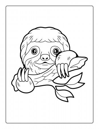 30 Adorable Sloth Coloring Pages - Etsy