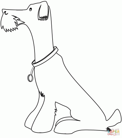 Airedale Terrier coloring page | Free Printable Coloring Pages