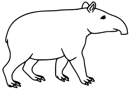 Small Tapir Coloring Page - Free Printable Coloring Pages for Kids