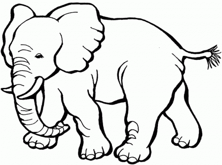 Coloring Pictures Printable Animals - High Quality Coloring Pages