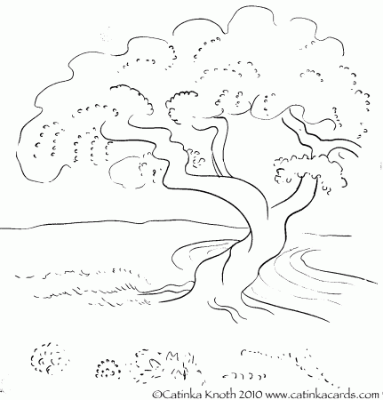 Cherry Tree In The Spring Coloring Page - Coloring Pages For All Ages