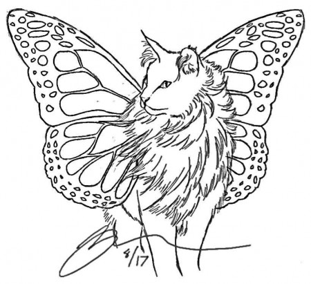 Winged cat (basic sketches) | Nature Lovers