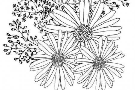 Spring Flowers Coloring Pages: Free ...