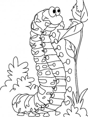 A Long Caterpillar Coloring Pages - Coloring Cool