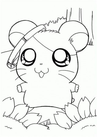 cute hamster coloring pages - - Image Search Results em 2023 | Folhas para  colorir, Desenhos para colorir, Desenhos