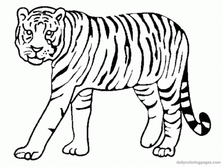coloring page tiger - High Quality Coloring Pages
