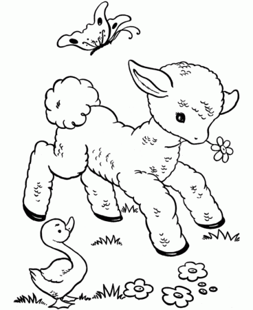 Free Printable Coloring Pages Of Cute Animals - Coloring Pages