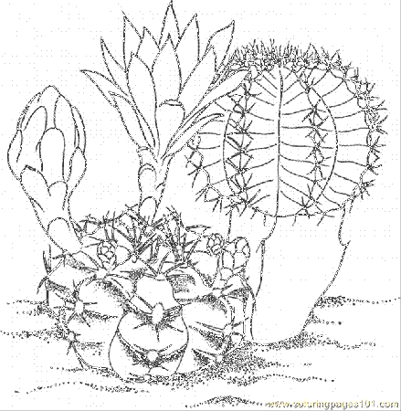 Cactus 13 Coloring Page for Kids - Free Flowers Printable Coloring Pages  Online for Kids - ColoringPages101.com | Coloring Pages for Kids