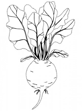 Kids-n-fun.com | Coloring page Vegetables Beet 4