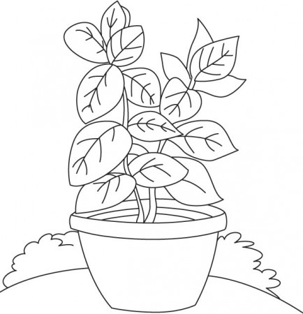 Basil vase coloring page | Download Free Basil vase coloring page for kids  | Best Coloring Pages