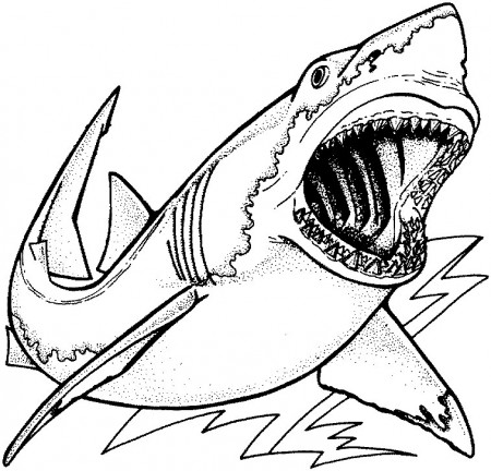 shark coloring pages - Clip Art Library