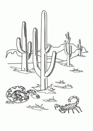 Desert Scorpion and Snake Coloring Page - Free Printable Coloring Pages for  Kids